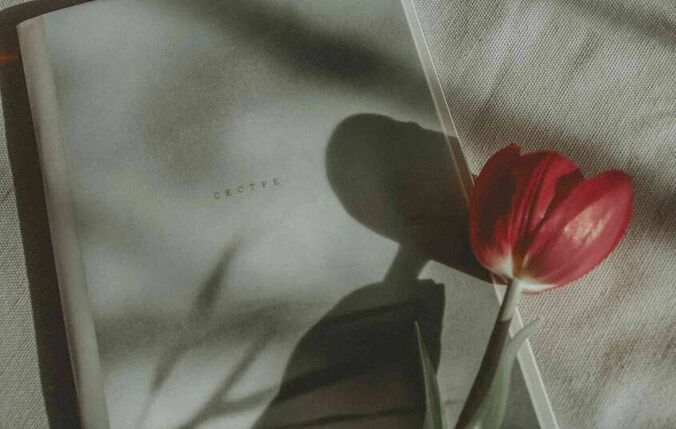 以纯衣服专卖店(以纯衣服有网上专卖店吗)